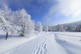 winterurlaub sterreich